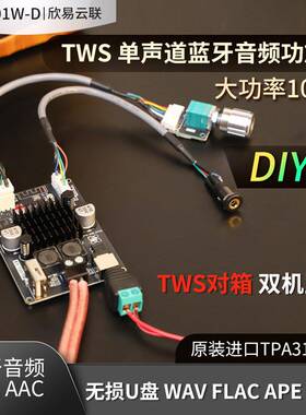 1001W-DIY版单声道100W蓝牙音频功放板模块TWS对箱真无线TPA3116