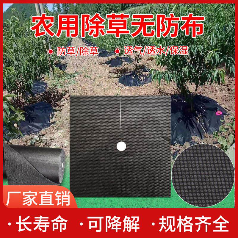 生态防草布厂家直销除草布农用果园耐用地膜果树新型无妨地布槟榔