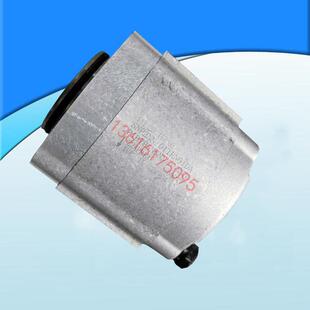 SNP2NN DANFOSS齿轮泵SNW3NN 026RN07SL NNBBBA P1B7B5 011RN01DA