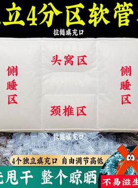宗匠致枕可调节独立四分区枕芯pe软管枕头可水洗护颈椎加高特高枕