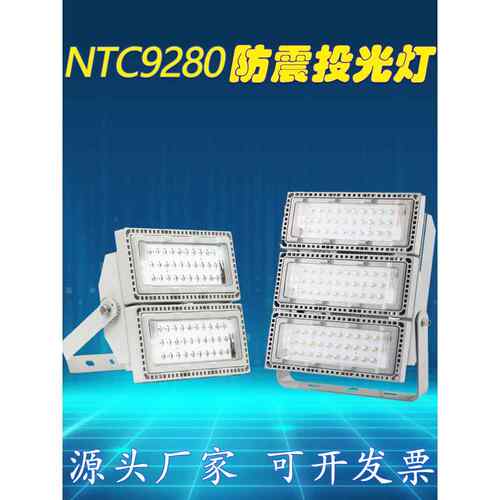 NTC9280防震投光灯泛光灯110W 电厂仓库港口LED模组灯 200W300W