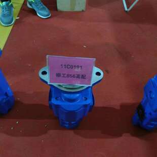 柳工856装 工作泵 变矩器 变速箱 载机转向泵11C0014