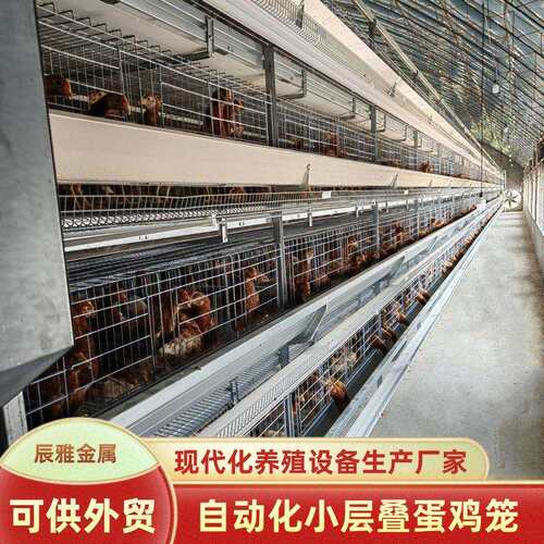 养殖场养鸡笼畜牧设备养殖自动化蛋鸡笼自动捡蛋喂料清粪蛋鸡笼