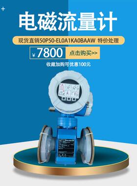 Endress Hauser Proline Promag 50P, 53电磁流量计Alloy C22电极