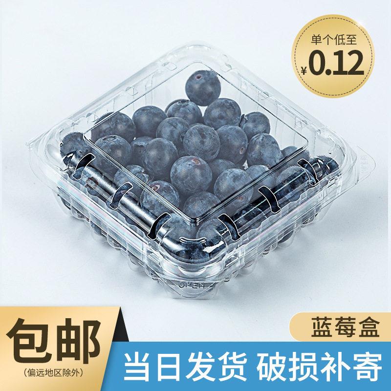 一次性水果盒子带盖透明塑料蓝莓盒125克包装盒一斤装水果包装盒