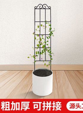 阳台铁艺爬藤架植物攀爬网格支架铁线莲室内花盆支撑杆防倒花架