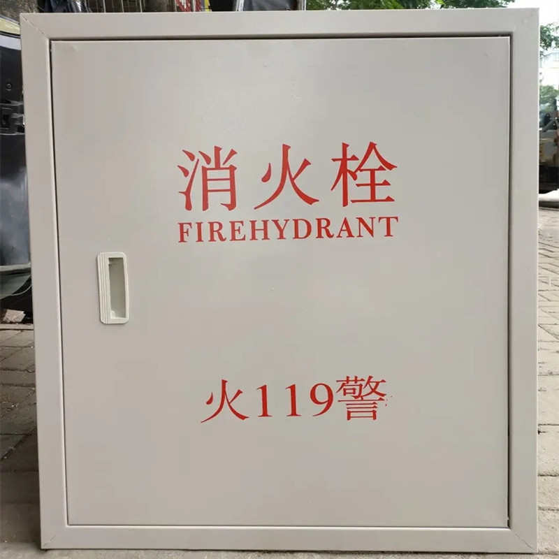 箱门消火栓箱消防栓加厚定制厂家直销消防800铁门箱650*铁门