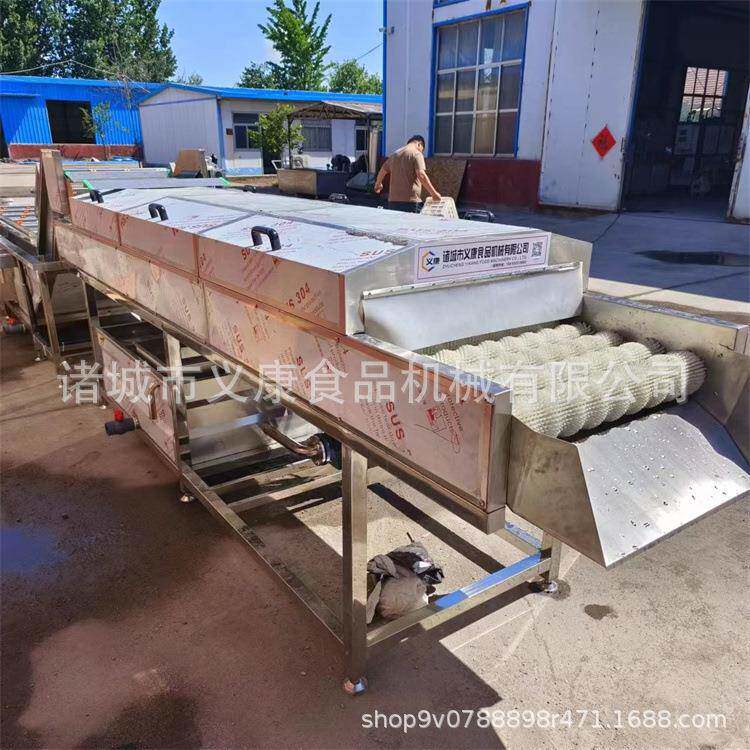 鲍菇去杂清洗机器笋丝去毛发清洗设备土豆去皮清洗机