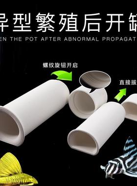 水族异型鱼鼠鱼陶瓷躲避罐繁殖罐胡子大帆L333孵化罐产卵罐后开罐