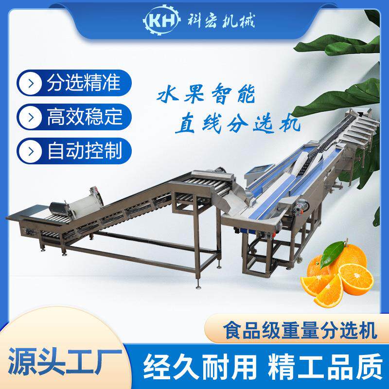 科宏机械水果智能分选机 橙子沃柑柑橘智能分选 洋葱苹果火龙果重