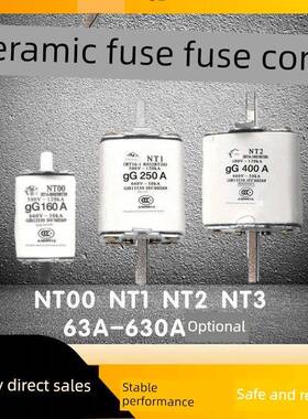 Nt00熔丝陶瓷熔丝芯Nt1Nt2Nt3 Hr6熔丝芯100A160A 200A 250A630A