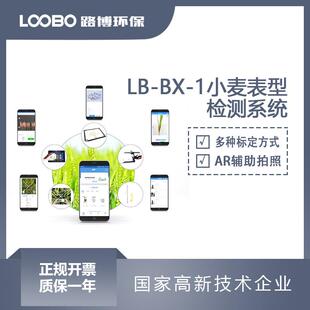便携式小麦表型检测仪小麦各时期生长状态分析仪多参数小麦测定仪