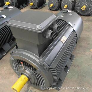 YE4-315L1-6/110W400V50HzV1立式IE4高效三相异步电机