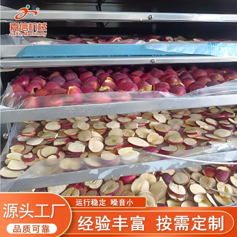 全自动真空冻干机草莓干苹果干真空冻干机牛肉粒真空冻干设备