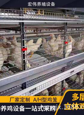 多层蛋鸡笼现代智能化养殖设备可做4层/3层养殖热镀锌养鸡笼