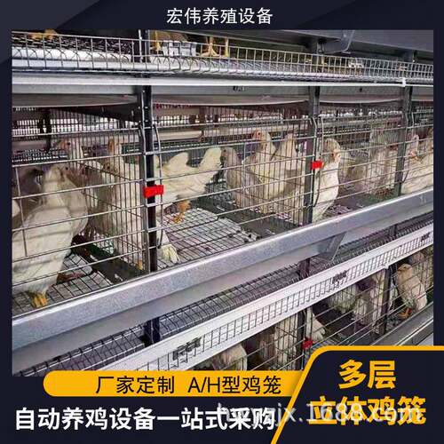 多层蛋鸡笼现代智能化养殖设备可做4层/3层养殖热镀锌养鸡笼