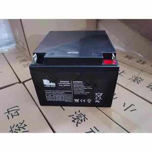 直流屏UPS电源EPS用 LONG WAY龙威蓄电池6FM24G 12V24AH 10HR消防