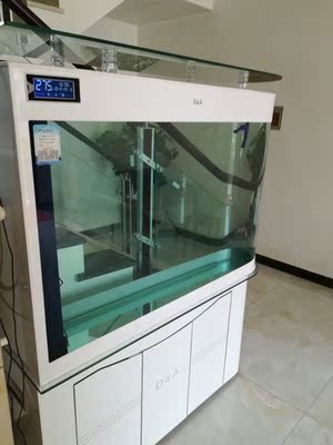 说真心话德克鱼缸怎么样，通过体验7个月反馈真相