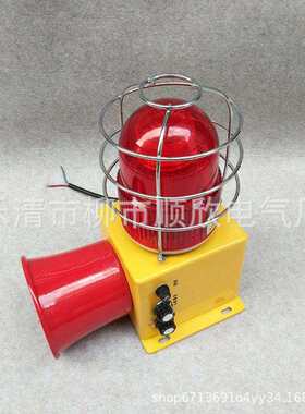 ASG-105 FG-21声光报警器 多功能语音报警器AEX-40 ASG-100