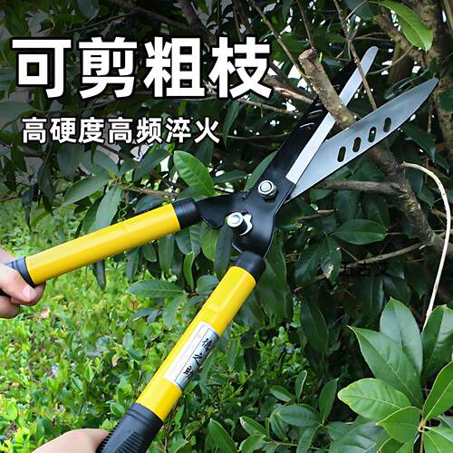 可伸缩直刃绿篱剪 加粗直刃园艺修枝剪 茶树修剪专用剪刀
