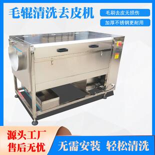 毛刷薯去皮商用姜去皮机大型芋头去皮机生芥菜大头机菜RQM去皮机