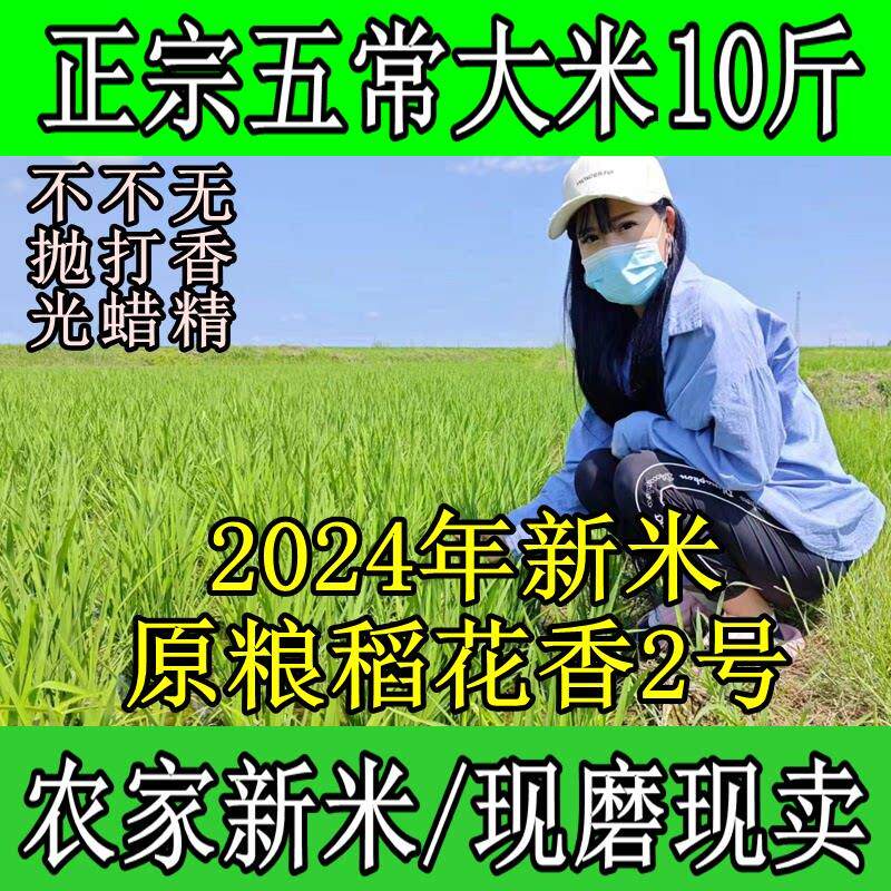 2024年新米正宗五常大米原粮稻花香2号农家自产东北黑龙江5kg真空