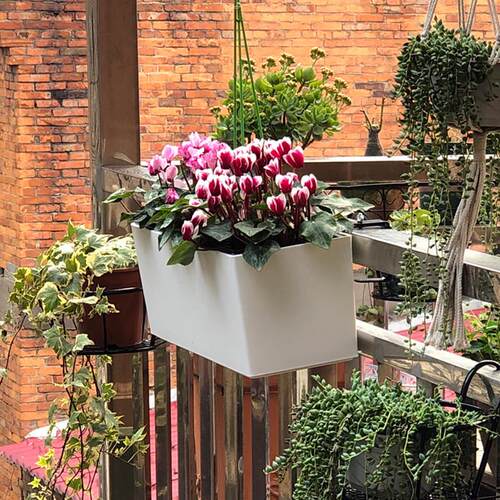 长阳台种菜盆方型形花盆挂式花箱塑料WB-01M磨盆栏杆挂花悬挂长种