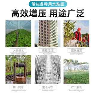 家用202V自MNL吸泵高扬程抽水机河水水井抽泵大湖头泵高压水喷射