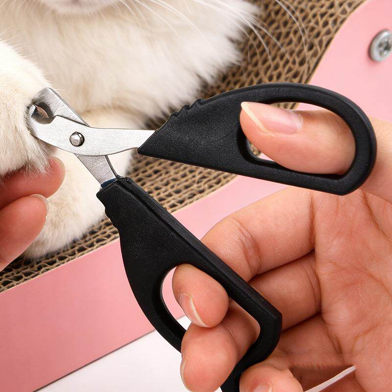 Rotatable 4-Claw Multi-Purpose Hanger for Ties, Scarves, Sha