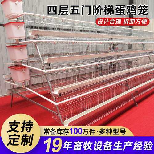 阶梯蛋鸡笼框架式加粗蛋鸡笼饲喂鸡舍农业养殖三层四层养殖鸡笼