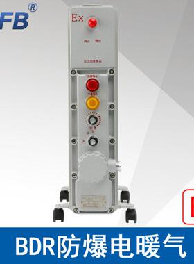浙江中沈BDR1500W9片防爆电暖气取暖器ExdbIIBT4功率1.5W220V