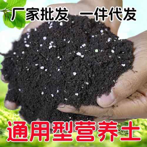 营养土通用型松针种菜专用土草莓土养花多肉种植土绿化花土有机土