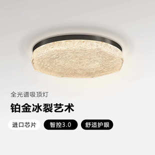 轻奢卧室书房吸顶灯现代简约高级感主卧灯树脂全光谱护眼灯 意式