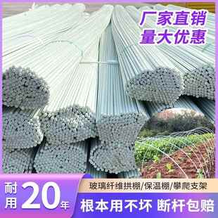 新型拱棚支架实心大棚塑料骨架支撑竿子种菜菜地菜园大鹏拱条蔬菜