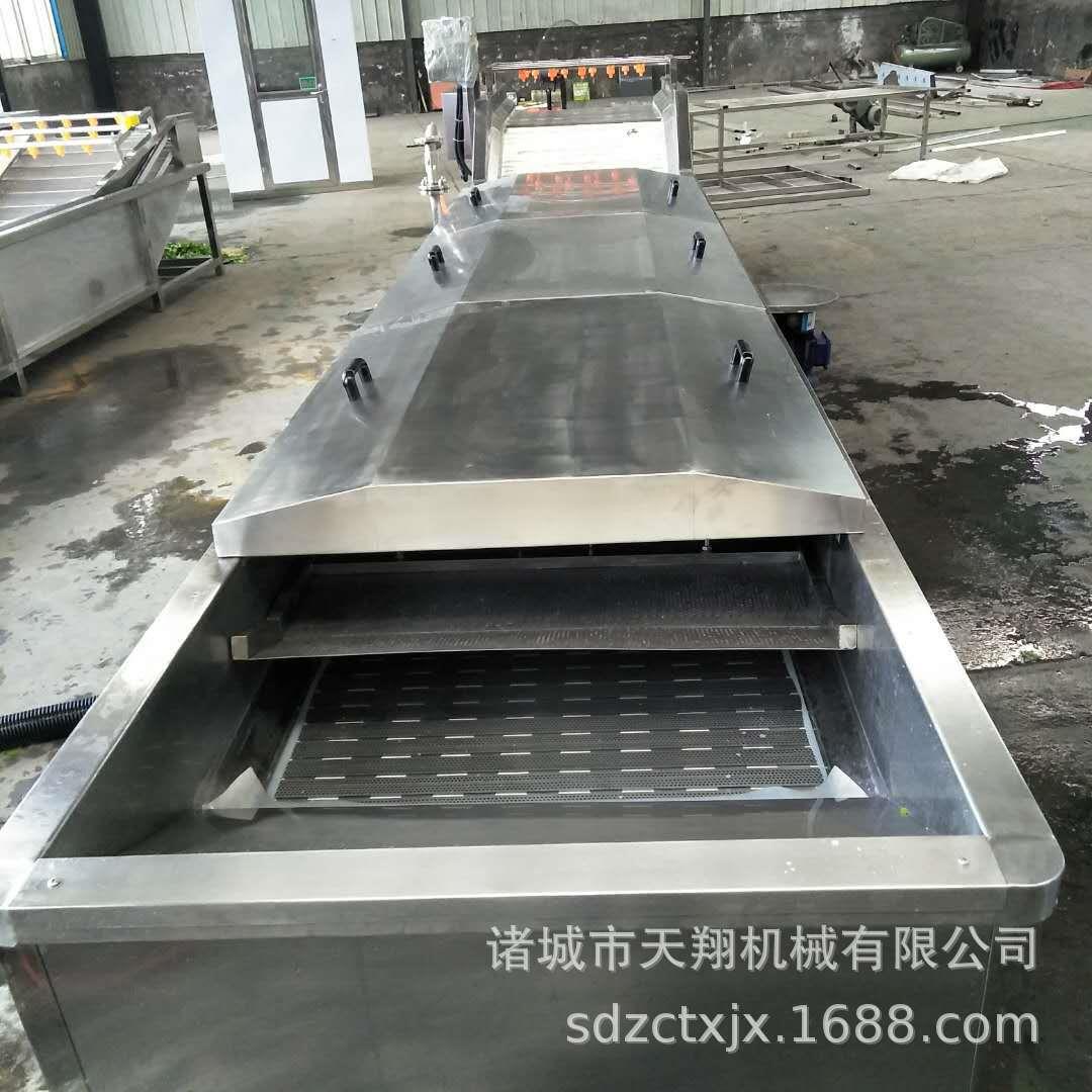 多功能鱿鱼花蒸煮漂烫机海米预煮机奇异果胡萝卜漂烫流水线设备