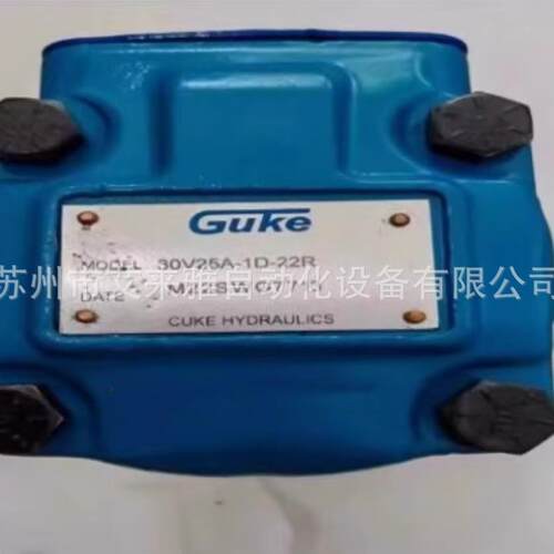 EXRUKE液压泵P-VL2-65-F-RU-G10油泵1PVL2-75-F-1R-U-10原装