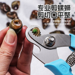 田螺剪尾神器剪螺丝屁股专用钳子厨房夹螺蛳石螺剪刀去尾机不锈钢