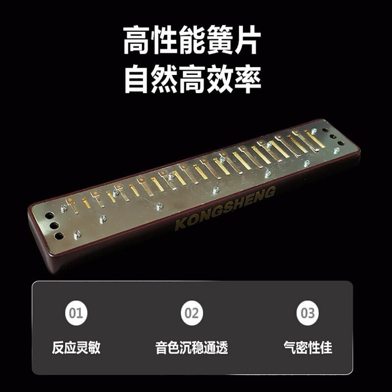 孔声24孔复音重音口琴NO.2420小调特殊调12调齐全演奏练习口琴