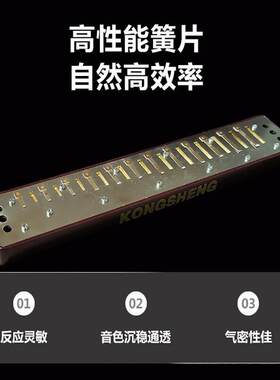 孔声24孔复音重音口琴NO.2420小调特殊调12调齐全演奏练习口琴