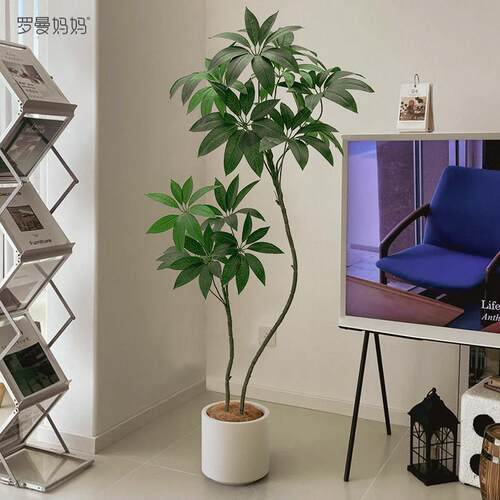 发财树彷真绿色植物盆栽大叶伞高端轻奢彷生植物诧寂风客厅装饰盆