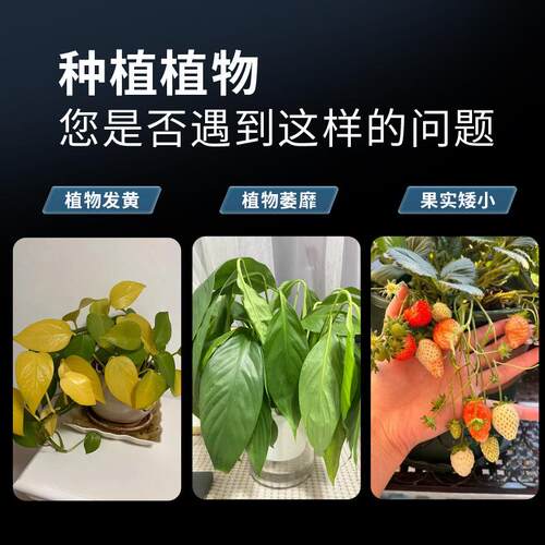 阳太阳台光植物补光灯全光谱室内CVM兰花阳卉月季绿生灯台植长物