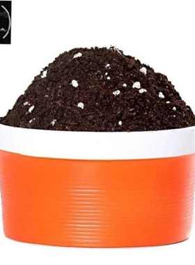 Soil and Flowers for Growing Flowers and Plants Potted Rose