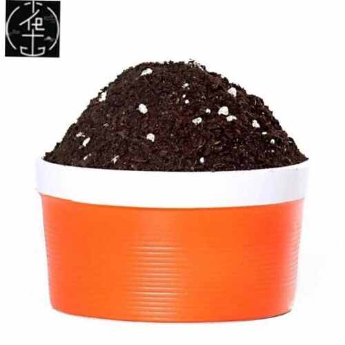Soil and Flowers for Growing Flowers and Plants Potted Rose