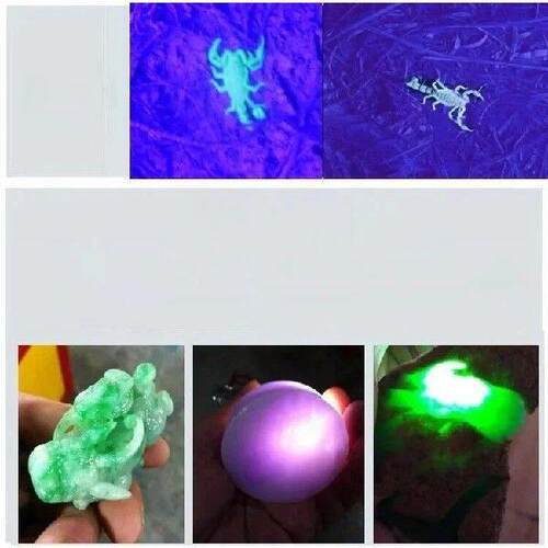 9LED Portable Mini Night Light UV Currency Detector