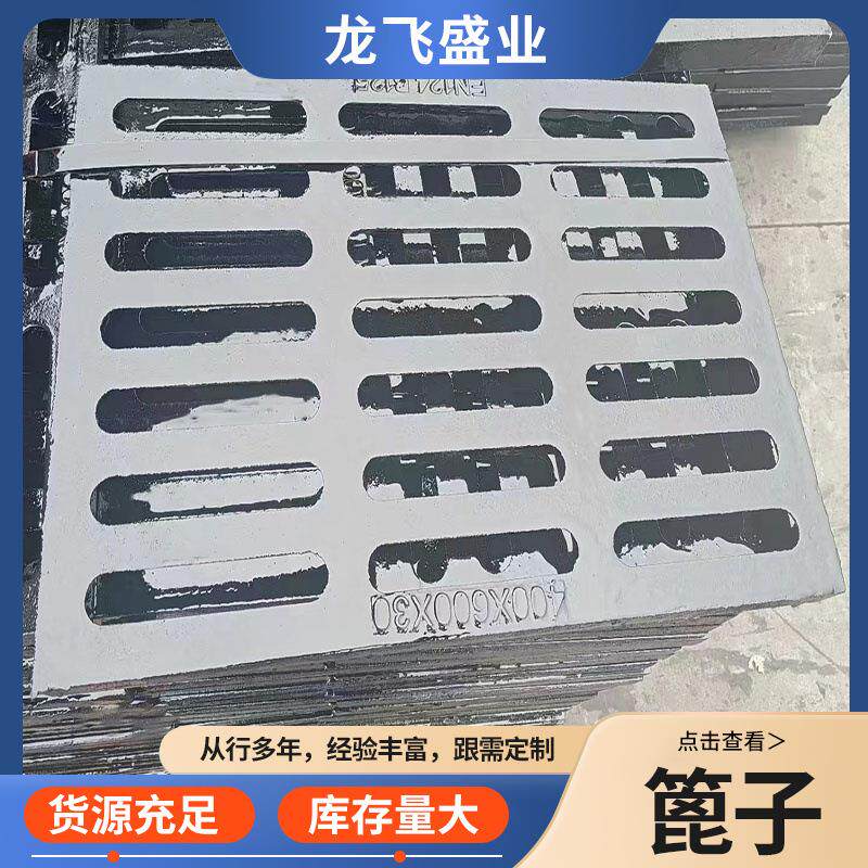 铸铁雨水篦子400*600球墨排水沟盖板单下水道钢格栅井盖