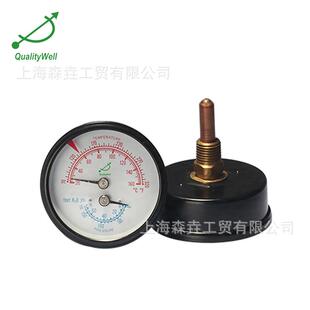 WHT 12S 适应不同环境轴向黑铁壳铜连接 60mm表面温度压力一体表