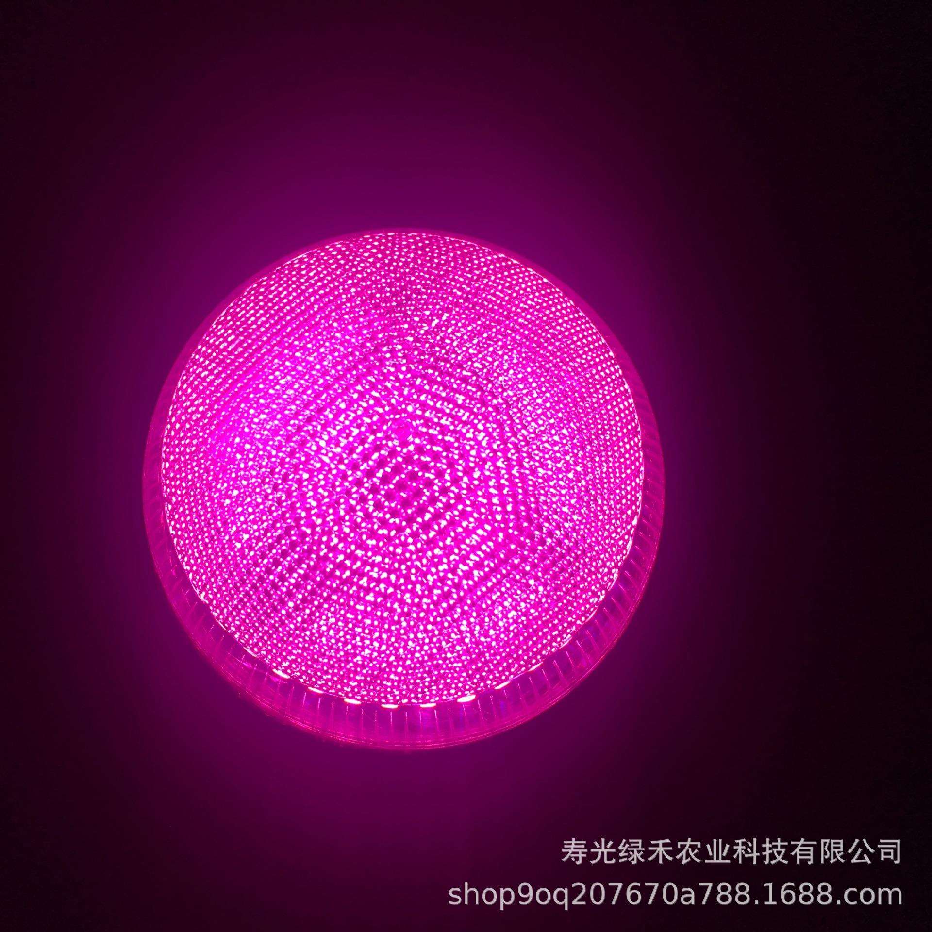 农业25w灯温室组件 葡萄草莓补光灯大棚植物生长灯 植物LED补光灯