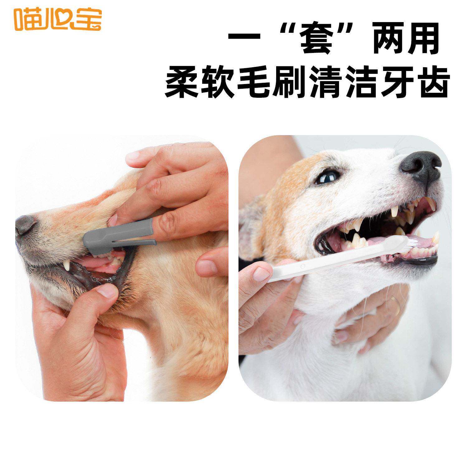 现货三件套宠物牙刷 双面刷头猫咪清洁口腔用品宠物牙刷