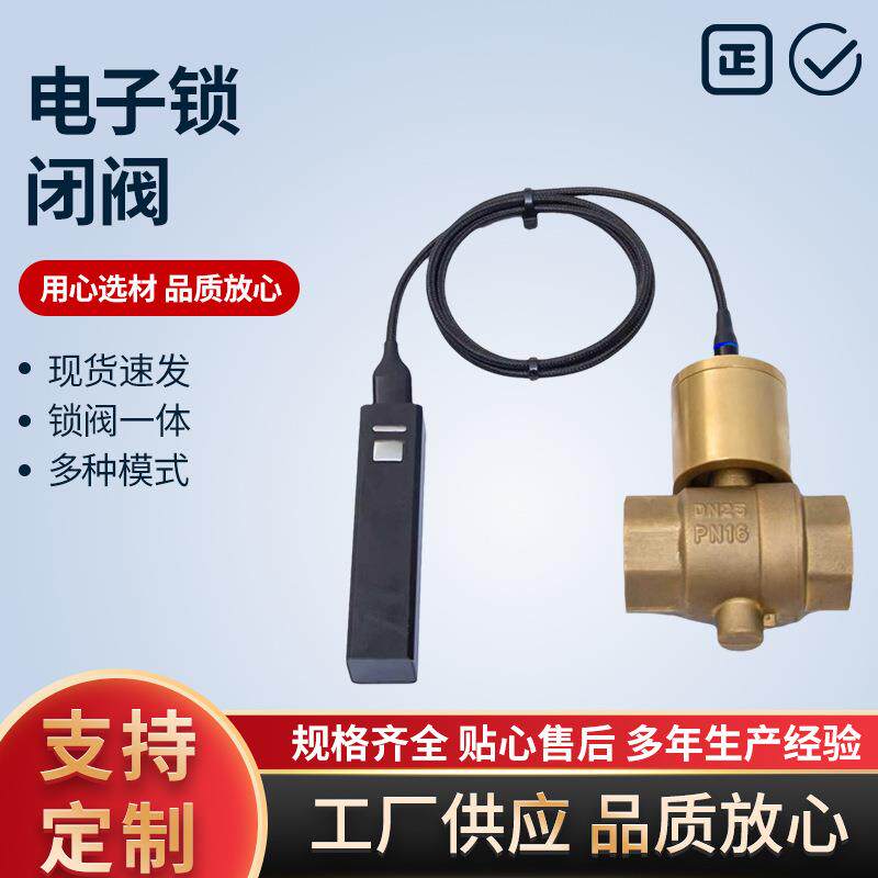 电子锁闭阀球阀暖气供暖防盗加密阀黄铜阀门开关双圈自来水表前
