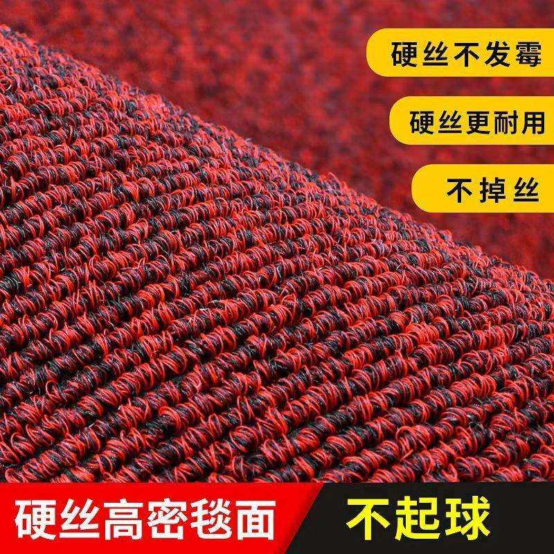 进门硬薄磨丝圈地门口酒店家用入户门除尘地毯防滑耐【硬丝TP脚垫